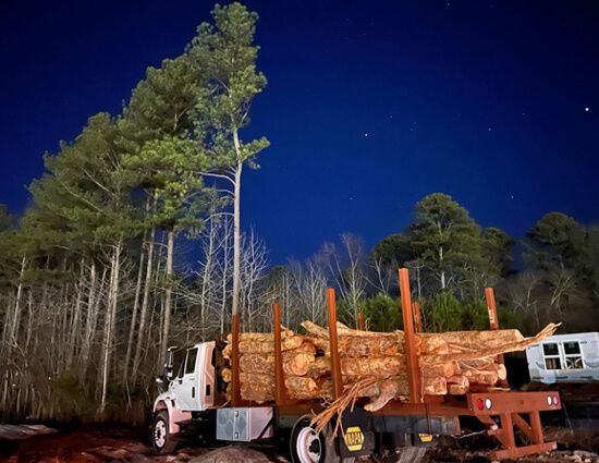 Land Clearing